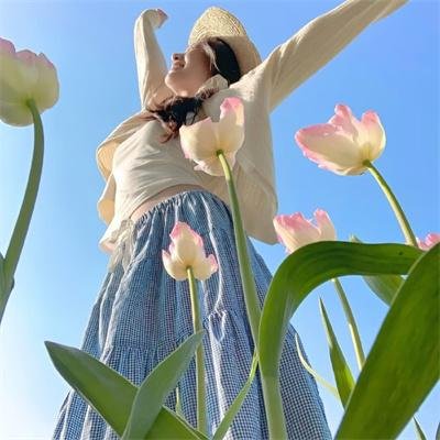 弗朗西斯·弗格森