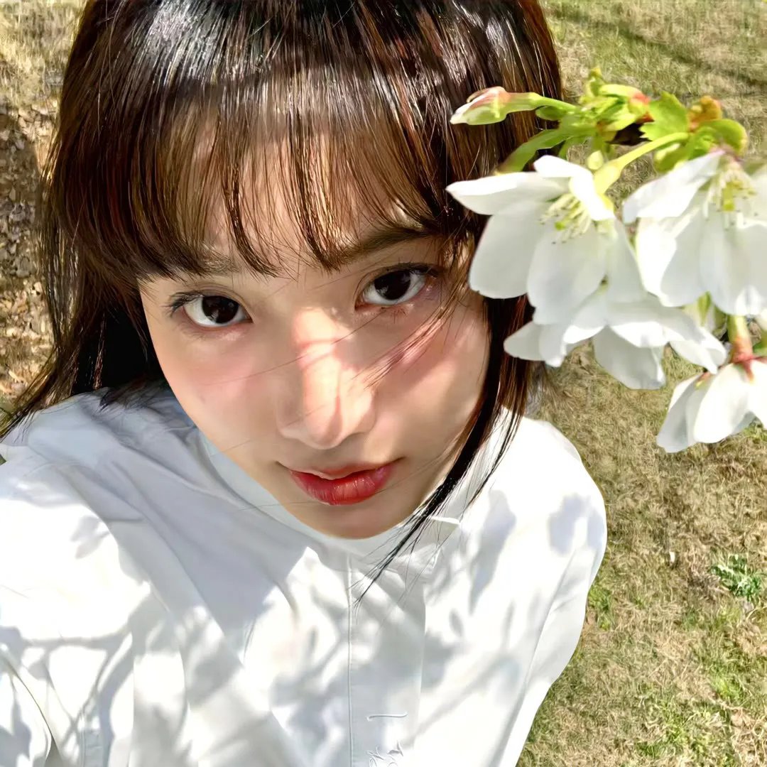 草莽游龙