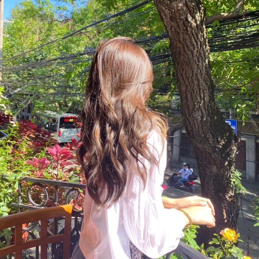 状王宋世杰粤语